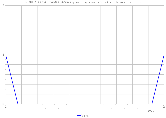 ROBERTO CARCAMO SASIA (Spain) Page visits 2024 