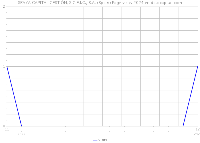 SEAYA CAPITAL GESTIÓN, S.G.E.I.C., S.A. (Spain) Page visits 2024 