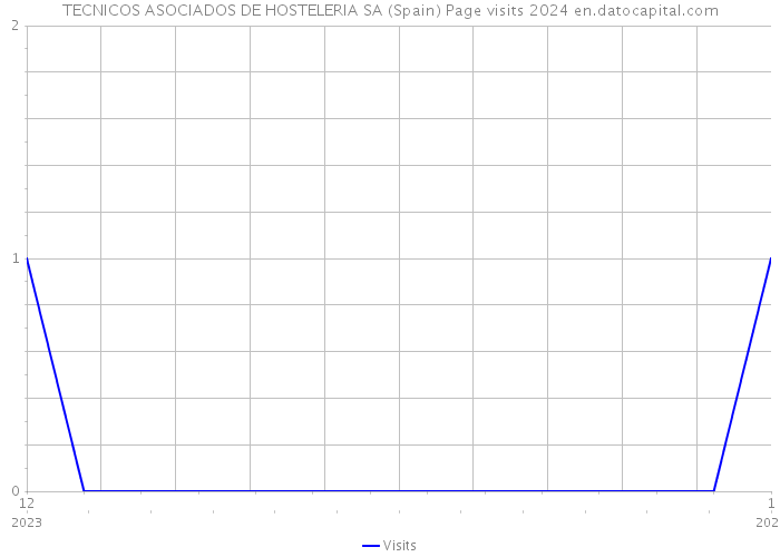 TECNICOS ASOCIADOS DE HOSTELERIA SA (Spain) Page visits 2024 