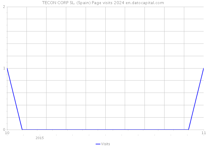 TECON CORP SL. (Spain) Page visits 2024 