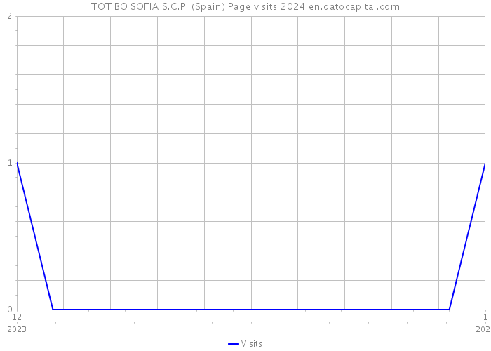 TOT BO SOFIA S.C.P. (Spain) Page visits 2024 