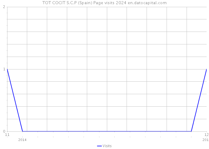 TOT COCIT S.C.P (Spain) Page visits 2024 