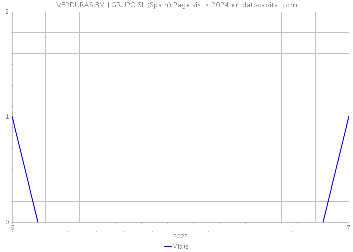 VERDURAS BMIJ GRUPO SL (Spain) Page visits 2024 