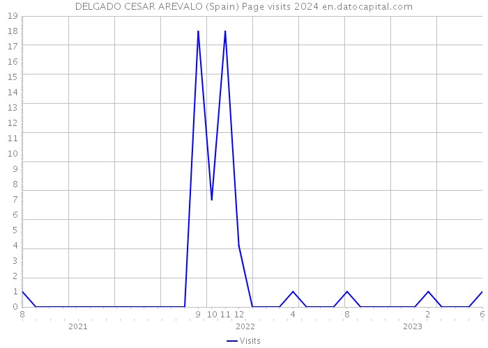 DELGADO CESAR AREVALO (Spain) Page visits 2024 