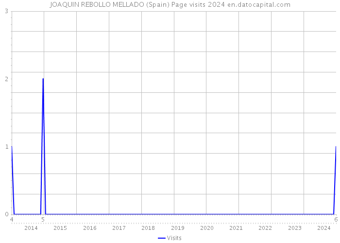 JOAQUIN REBOLLO MELLADO (Spain) Page visits 2024 