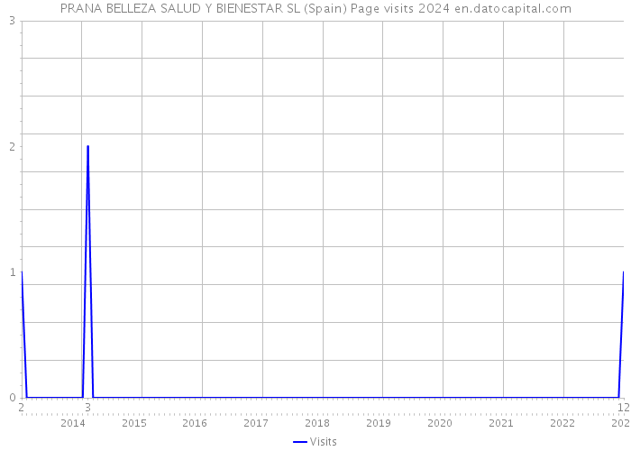 PRANA BELLEZA SALUD Y BIENESTAR SL (Spain) Page visits 2024 