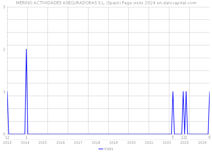 MERINO ACTIVIDADES ASEGURADORAS S.L. (Spain) Page visits 2024 