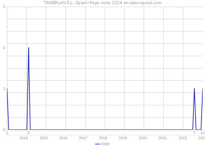 TAMERLAN S.L. (Spain) Page visits 2024 