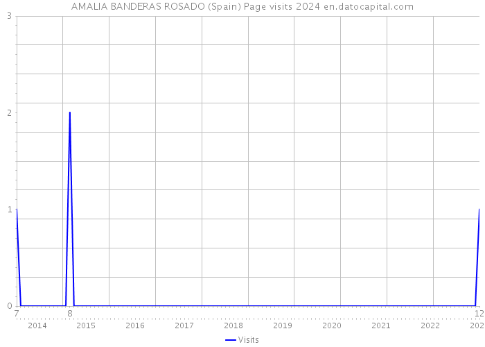 AMALIA BANDERAS ROSADO (Spain) Page visits 2024 