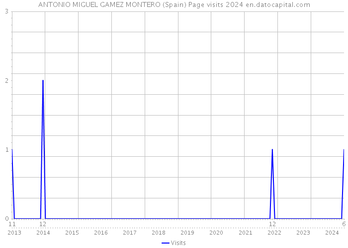 ANTONIO MIGUEL GAMEZ MONTERO (Spain) Page visits 2024 