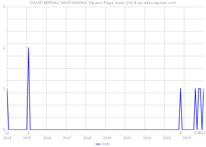 DAVID BERNAL SANTAMARIA (Spain) Page visits 2024 