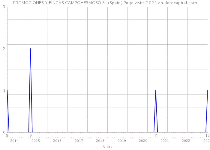 PROMOCIONES Y FINCAS CAMPOHERMOSO SL (Spain) Page visits 2024 
