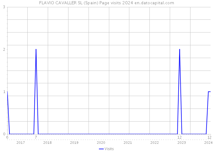 FLAVIO CAVALLER SL (Spain) Page visits 2024 