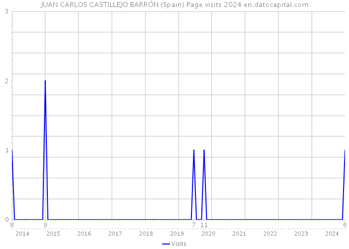 JUAN CARLOS CASTILLEJO BARRÓN (Spain) Page visits 2024 