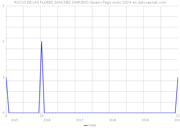 ROCIO DE LAS FLORES SANCHEZ ZAMUDIO (Spain) Page visits 2024 