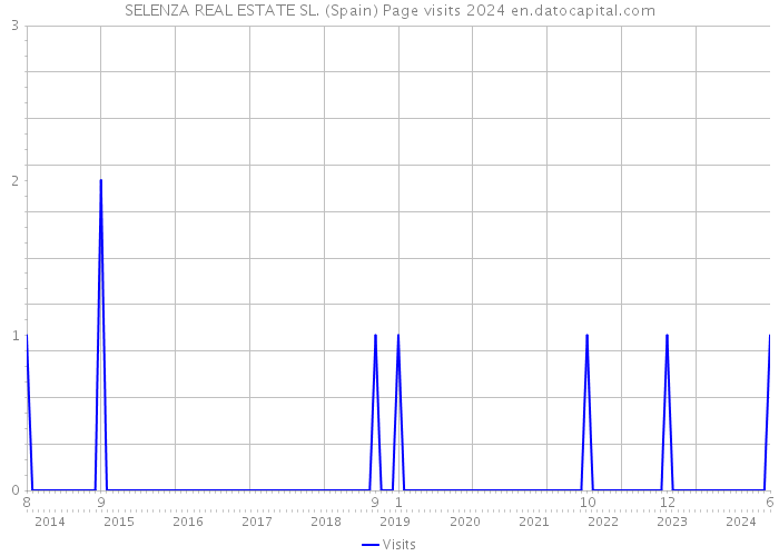 SELENZA REAL ESTATE SL. (Spain) Page visits 2024 