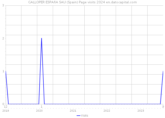 GALLOPER ESPAñA SAU (Spain) Page visits 2024 