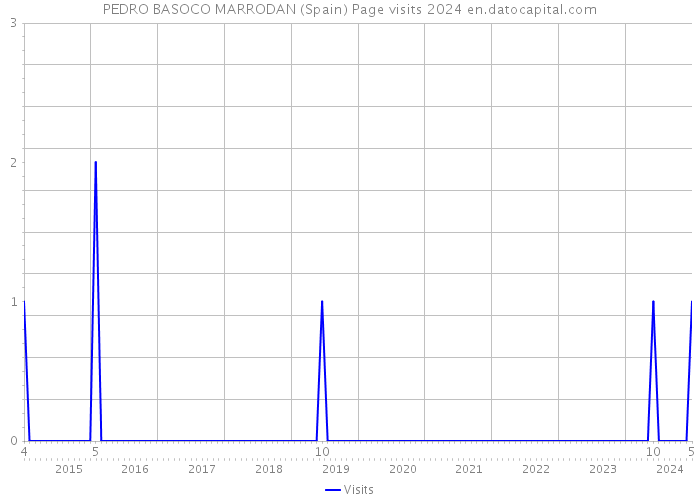 PEDRO BASOCO MARRODAN (Spain) Page visits 2024 
