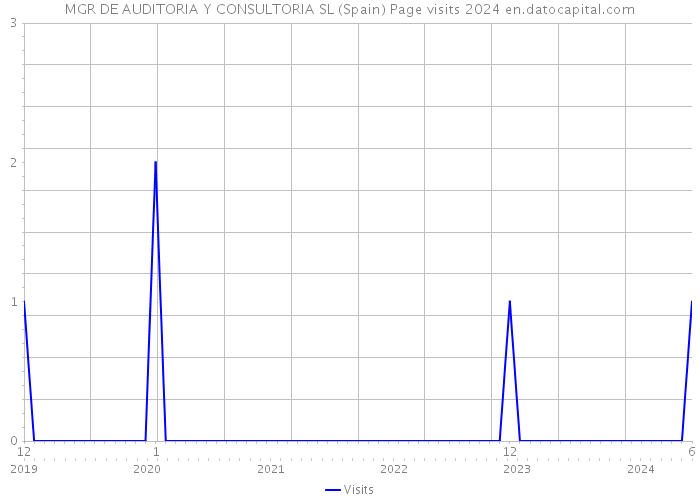 MGR DE AUDITORIA Y CONSULTORIA SL (Spain) Page visits 2024 