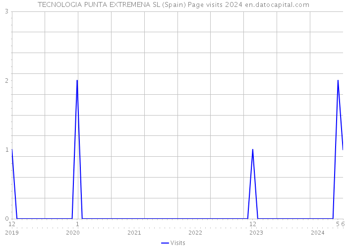 TECNOLOGIA PUNTA EXTREMENA SL (Spain) Page visits 2024 