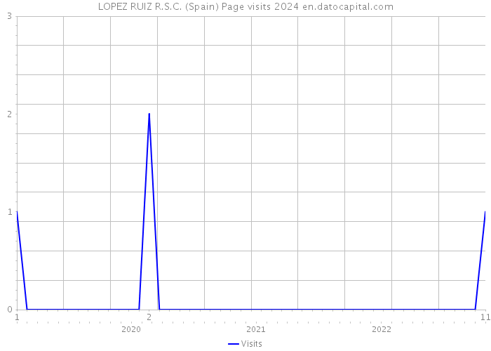 LOPEZ RUIZ R.S.C. (Spain) Page visits 2024 