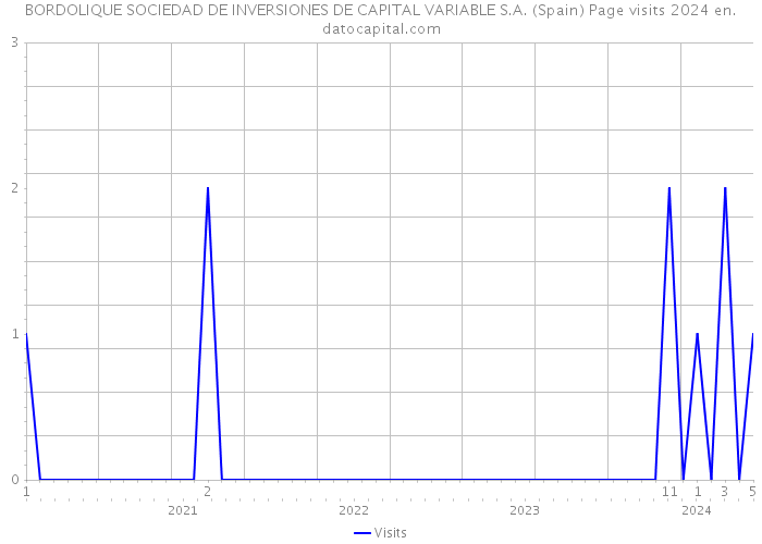 BORDOLIQUE SOCIEDAD DE INVERSIONES DE CAPITAL VARIABLE S.A. (Spain) Page visits 2024 