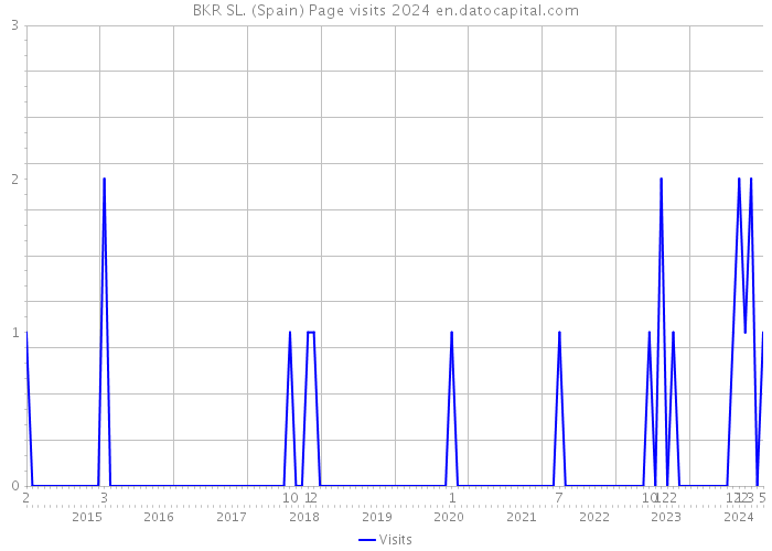 BKR SL. (Spain) Page visits 2024 