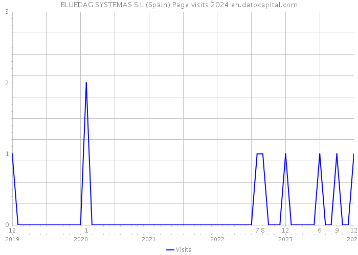 BLUEDAG SYSTEMAS S.L (Spain) Page visits 2024 