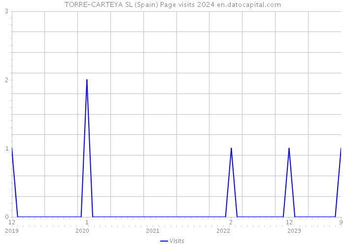 TORRE-CARTEYA SL (Spain) Page visits 2024 