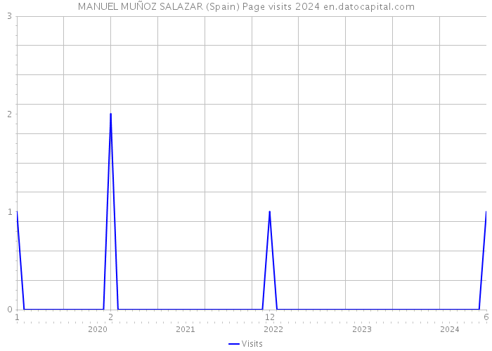 MANUEL MUÑOZ SALAZAR (Spain) Page visits 2024 