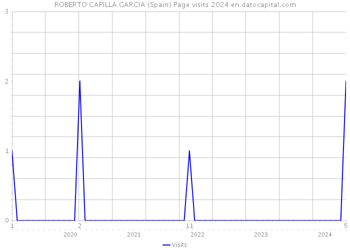 ROBERTO CAPILLA GARCIA (Spain) Page visits 2024 