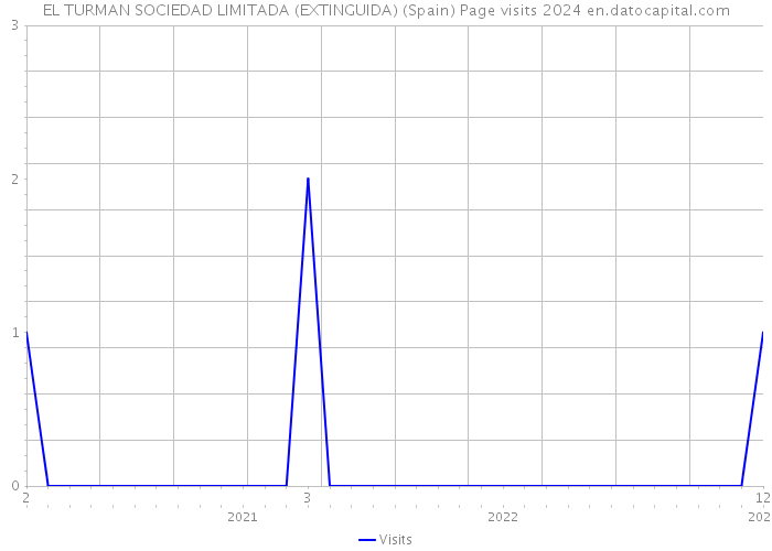 EL TURMAN SOCIEDAD LIMITADA (EXTINGUIDA) (Spain) Page visits 2024 