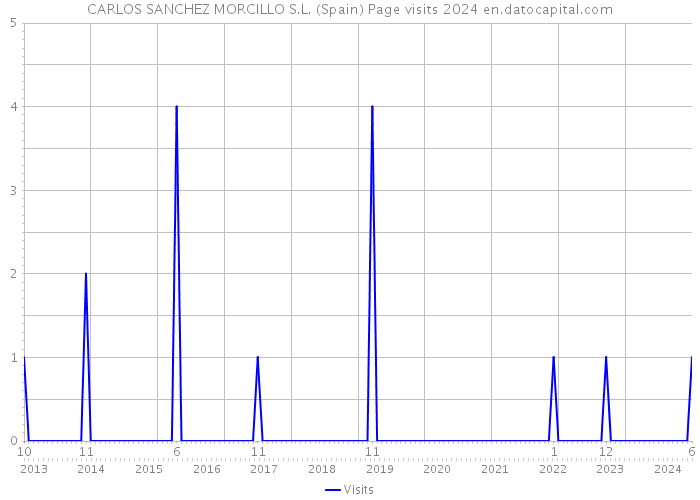 CARLOS SANCHEZ MORCILLO S.L. (Spain) Page visits 2024 