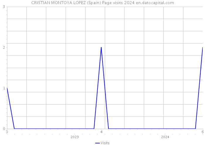 CRISTIAN MONTOYA LOPEZ (Spain) Page visits 2024 