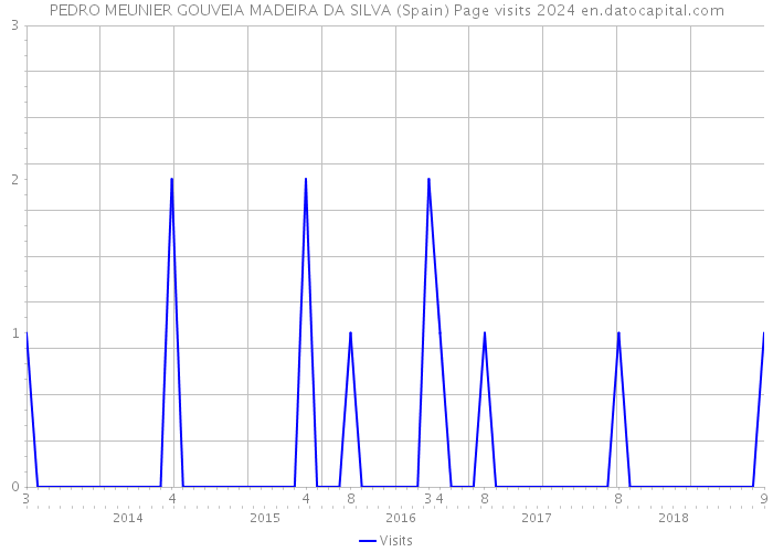 PEDRO MEUNIER GOUVEIA MADEIRA DA SILVA (Spain) Page visits 2024 