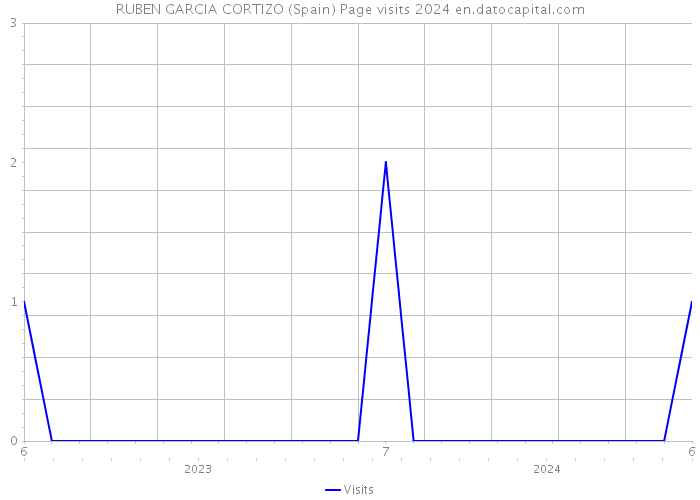 RUBEN GARCIA CORTIZO (Spain) Page visits 2024 