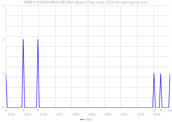 ENEKO RUFINO BENGOECHEA (Spain) Page visits 2024 