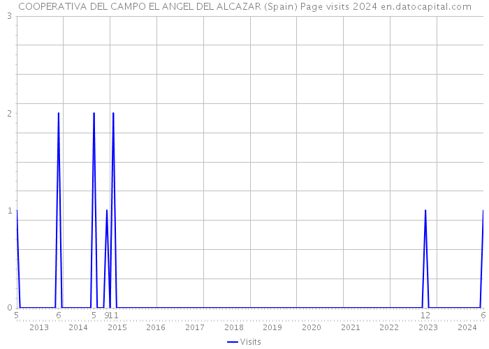 COOPERATIVA DEL CAMPO EL ANGEL DEL ALCAZAR (Spain) Page visits 2024 