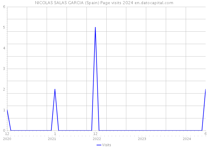 NICOLAS SALAS GARCIA (Spain) Page visits 2024 