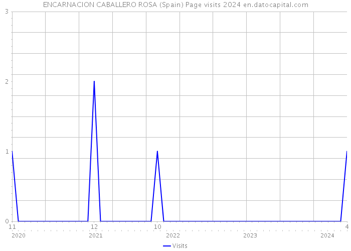 ENCARNACION CABALLERO ROSA (Spain) Page visits 2024 