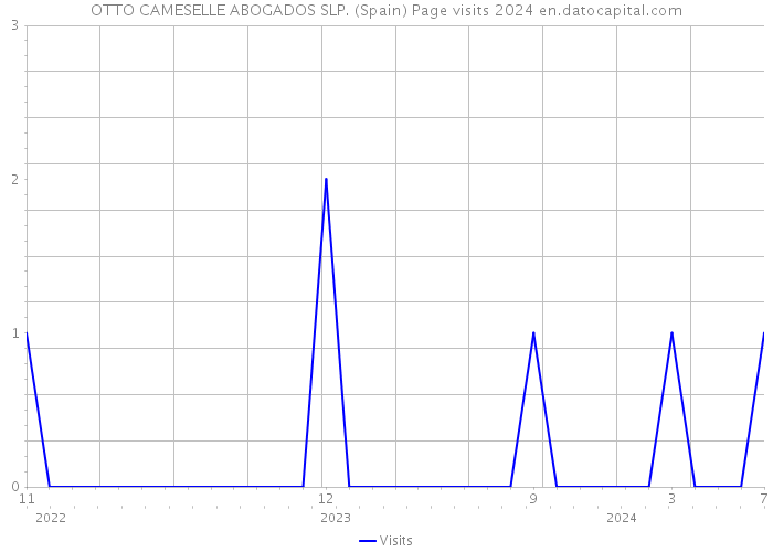 OTTO CAMESELLE ABOGADOS SLP. (Spain) Page visits 2024 