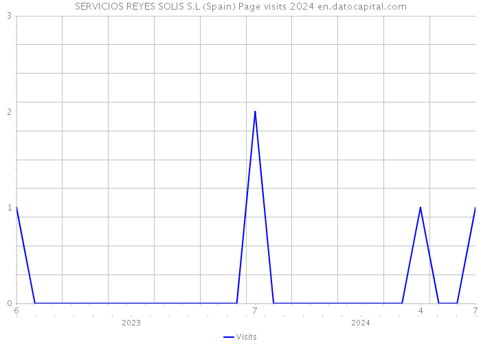 SERVICIOS REYES SOLIS S.L (Spain) Page visits 2024 