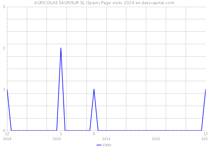 AGRICOLAS SAGRISUR SL (Spain) Page visits 2024 