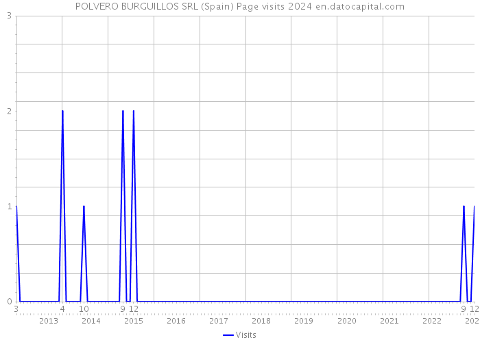 POLVERO BURGUILLOS SRL (Spain) Page visits 2024 