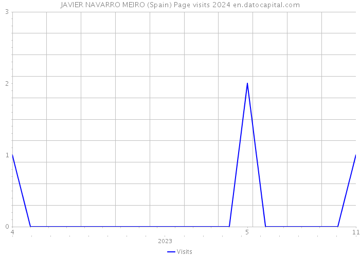 JAVIER NAVARRO MEIRO (Spain) Page visits 2024 