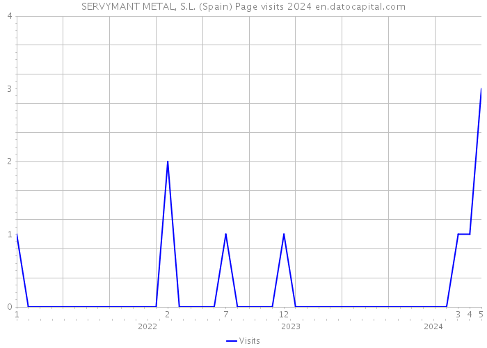 SERVYMANT METAL, S.L. (Spain) Page visits 2024 