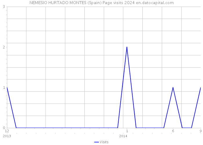 NEMESIO HURTADO MONTES (Spain) Page visits 2024 
