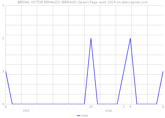 BERNAL VICTOR REINALDO SERRANO (Spain) Page visits 2024 