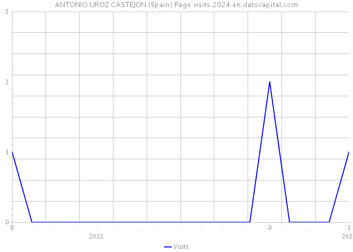 ANTONIO UROZ CASTEJON (Spain) Page visits 2024 