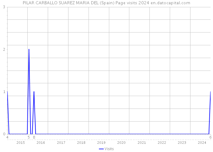 PILAR CARBALLO SUAREZ MARIA DEL (Spain) Page visits 2024 